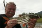 Hampala Barb