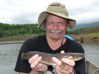 Striped Snakehead