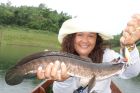 Striped Snakehead