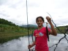 Striped Snakehead