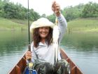 Striped Snakehead