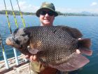 Gourami