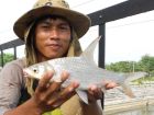Soldier River Barb