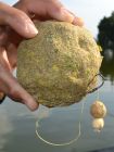 Anchored Popups
