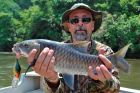 Thai Mahseer