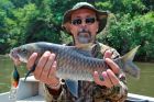 Thai Mahseer