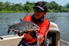Thai Mahseer