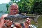 Thai Mahseer