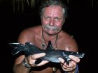 Crystal Eyed Catfish