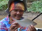 Tinfoil Barb