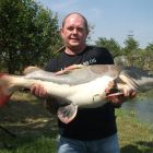 Amazon Redtail Catfish