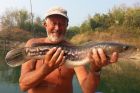 John Wilson Fishing