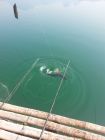 John Wilson Fishing