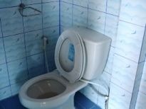 European Style Toilet