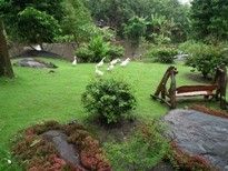 Guest House Gardens
