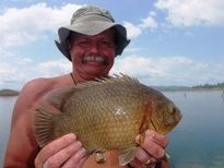 Thai Fish Species - Nandid Tiger Perch