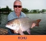 Photo Gallery - Rohu