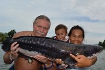 Giant Snakehead